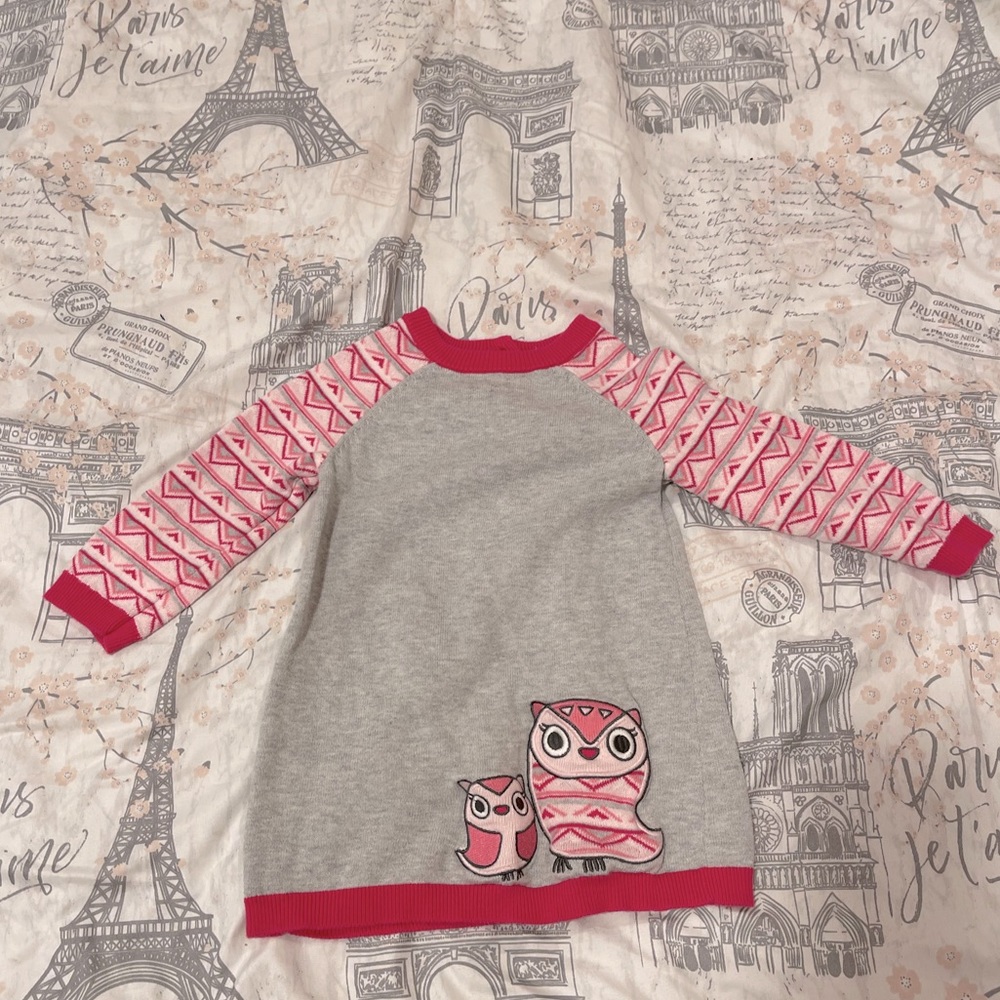 ⭐️ 6/$20. ⭐️ Gymboree Owl Sweater Dress size 18-24 month